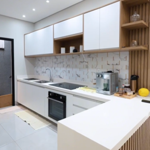 condo monaco 2 (3)